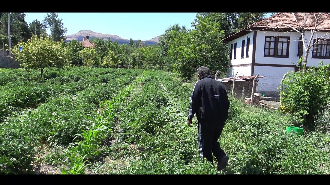 SÜRDÜRÜLEBİLİR YAŞAM FİLM FESTİVALİ 2020 SYFFEVDE ÇEVRİMİÇİ FESTİVAL KAPANIŞ BÜLTENİ